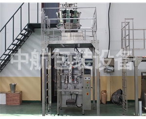 大棗堅(jiān)果顆粒自動稱重式包裝機(jī)